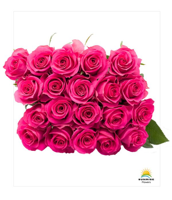 Good Vibes - Image 3