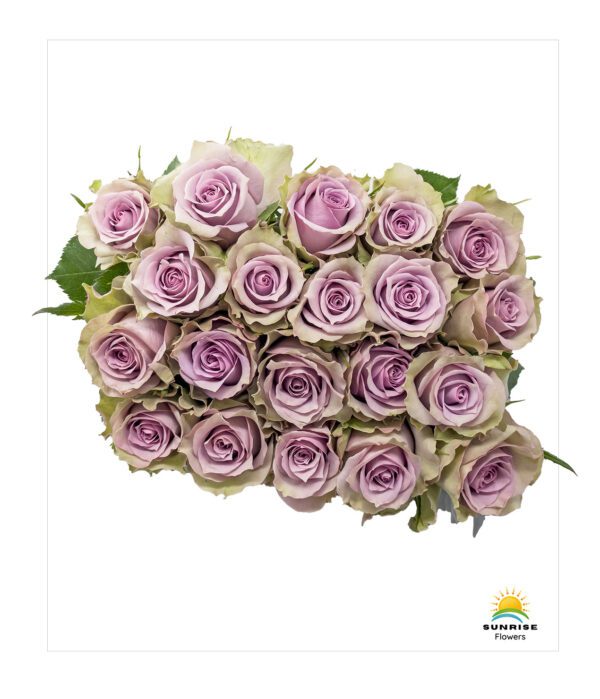 Samantha Bridal - Image 3