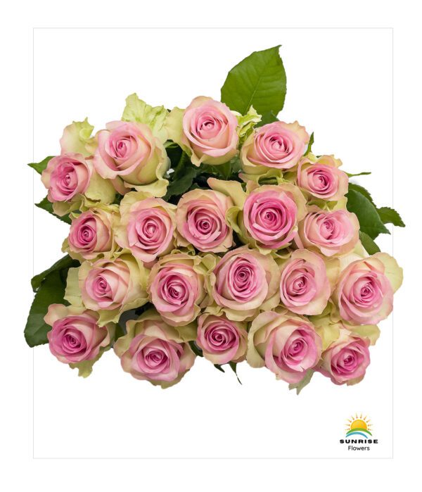 Lovely Jewel - Image 3